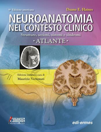 Neuroanatomia nel contesto clinico. Strutture, sezioni, sistemi e sindromi. Atlante - Duane E. Haines - Libro Edi. Ermes 2016 | Libraccio.it
