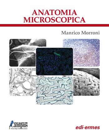 Anatomia microscopica - Manrico Morroni - Libro Edi. Ermes 2026 | Libraccio.it