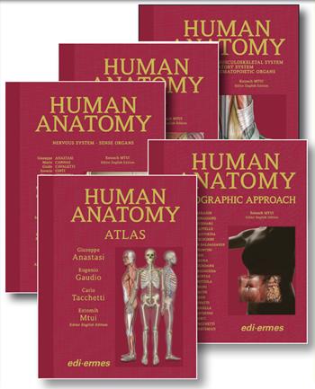 Anatomy bag plus. Treatise on Human Anatomy, Topographic Approach, Atlas. Ediz. illustrata  - Libro Edi. Ermes 2022 | Libraccio.it