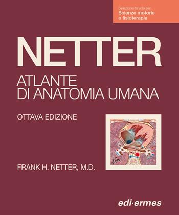 Netter. Atlante anatomia umana. Scienze motorie e fisioterapia - Frank H. Netter - Libro Edi. Ermes 2023 | Libraccio.it