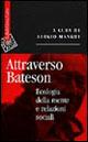 Attraverso Bateson. Ecologia della mente e relazioni sociali  - Libro Raffaello Cortina Editore 1998, Saggi | Libraccio.it
