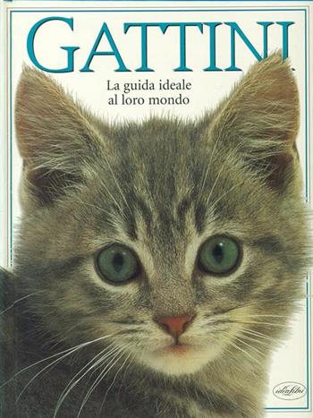 Gattini. La guida ideale al loro mondo. Ediz. illustrata  - Libro Idea Libri 1998, Ragazzi | Libraccio.it