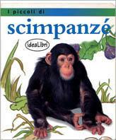 I piccoli di... Scimpanzè. Ediz. illustrata - Jinny Johnson - Libro Idea Libri 2000, Bambini | Libraccio.it