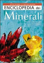 Enciclopedia dei minerali. Ediz. illustrata