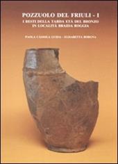 Pozzuolo del Friuli. Vol. 1: I resti della tarda età del bronzo in località Braida Roggia.