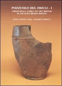 Pozzuolo del Friuli. Vol. 1: I resti della tarda età del bronzo in località Braida Roggia. - Paola Cassola Guida - Libro Quasar 1994, Studi e ricerche di protostoria medit. | Libraccio.it