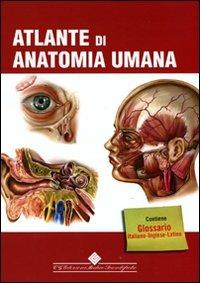 Atlante di anatomia umana. Ediz. illustrata  - Libro Edizioni Medico-Scientifiche 2010 | Libraccio.it