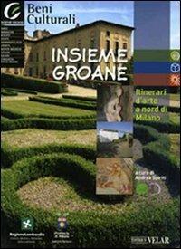 Insieme Groane. Itinerari d'arte a nord di Milano. Con CD-ROM  - Libro Velar 2008 | Libraccio.it