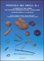 Pozzuolo del Friuli. Vol. 2\2: La prima età del ferro nel settore meridionale del castelliere. Le attività produttive e i resti faunistici.
