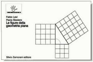 Le figure della geometria piana. Ediz. in braille. Per le Scuole superiori - Fabio Levi, Paola Slaviero - Libro Zamorani 2001, Tacto | Libraccio.it