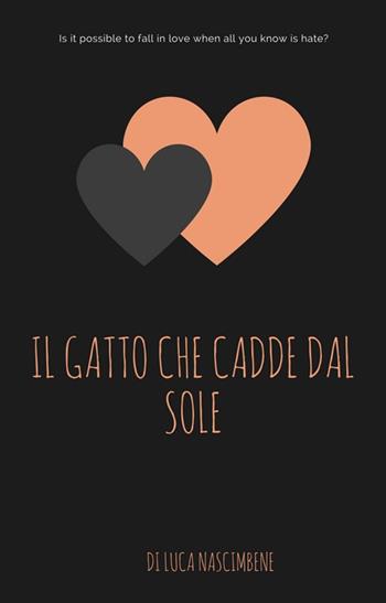 Il gatto che cadde dal sole - Luca Nascimbene - Libro PubMe 2017 | Libraccio.it