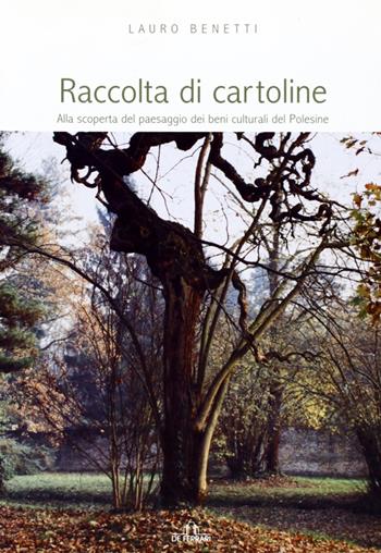 Raccolta di cartoline. Alla scoperta del paesaggio dei beni culturali del Polesine - Lauro Benetti - Libro De Ferrari 2006, Athenaeum | Libraccio.it