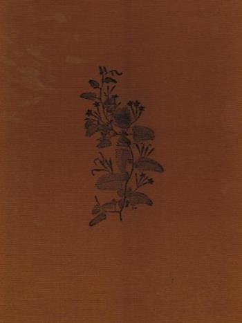 Lo specchio del principe. Mecenatismi paralleli: i Medici e i Moghul  - Libro Edizioni dell'Elefante 1991, Studi di storia dell'arte | Libraccio.it