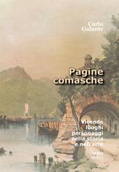 Pagine comasche. Vicende, luoghi, personaggi nella storia e nell'arte
