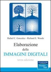 Elaborazioni delle immagini digitali - Rafael C. Gonzalez, Richard E. Woods - Libro Pearson 2008, Prentice Hall | Libraccio.it