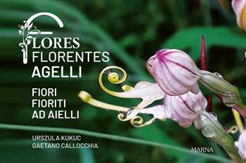 Flores florentes agelli. Fiori fioriti ad aielli. Ediz. illustrata - Gaetano Callocchia, Urszula Kukuc - Libro Marna 2026 | Libraccio.it