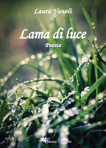 Lama di luce - Laura Vanoli - Libro Pegasus Edition 2023, Oltre. Poesia | Libraccio.it