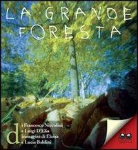La grande foresta - Francesco Niccolini, Luigi D'Elia - Libro Titivillus 2012 | Libraccio.it