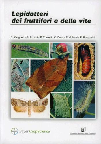 Lepidotteri dei fruttiferi e della vite - S. Zangheri, G. Briolini, P. Cravedi - Libro L'Informatore Agrario 2014, Fitopatologia | Libraccio.it