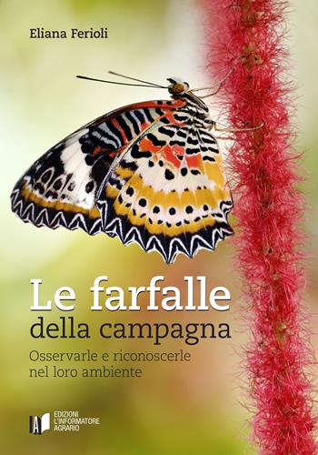 Le farfalle della campagna. Osservarle e riconoscerle nel loro ambiente - Eliana Ferioli - Libro L'Informatore Agrario 2020 | Libraccio.it