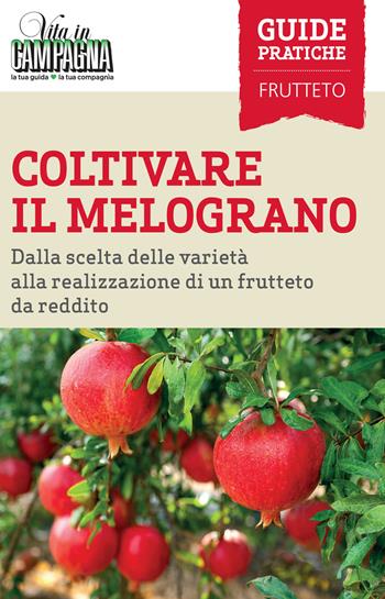 Coltivare il melograno. Dalla scelta delle varietà alla realizzazione di un frutteto da reddito - Ferdinando Cossio, Domenico Annicchiarico, Chiara Vacca - Libro L'Informatore Agrario 2020, Guide pratiche di Vita in campagna | Libraccio.it