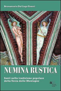 Numina rustica. Santi nella tradizione popolare della terra delle montagne - Bruna M. Dal Lago Veneri - Libro Alphabeta 2014 | Libraccio.it
