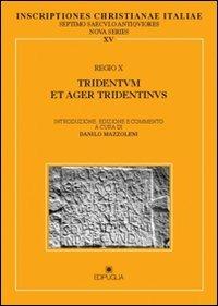 Inscriptiones christianae Italiae septimo saeculo antiquioresianae ita. Vol. 15: Regio X: Tridentum et ager tridentinus.  - Libro Edipuglia 2013, ICI-Inscriptiones Christianae Italiae | Libraccio.it