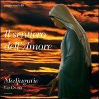 Il sentiero dell'amore. Medjugorie. Via crucis - Paolo Tacchella - Libro OCD 2008 | Libraccio.it