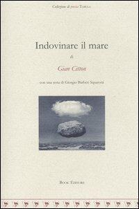 Indovinare il mare - Gian Citton - Libro Book Editore 2004, Tabula. Nuova serie | Libraccio.it