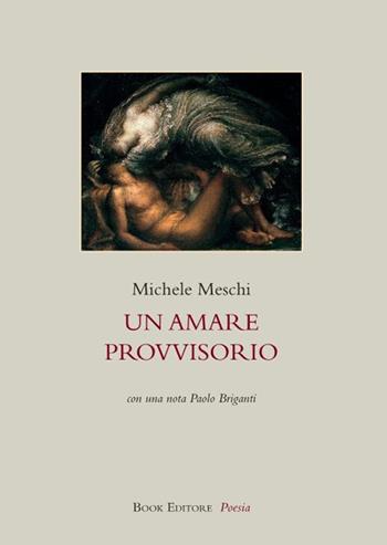 Un amare provvisorio - Michele Meschi - Libro Book Editore 2023, Fuoricollana | Libraccio.it