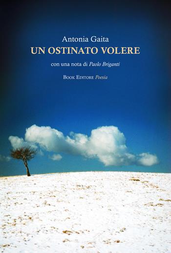 Un ostinato volere - Antonia Gaita - Libro Book Editore 2026, Minerva. Nuova serie | Libraccio.it