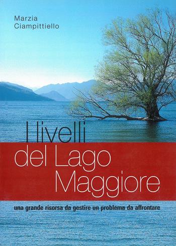 I livelli del Lago Maggiore. Una grande risorsa da gestire. Un problema da affrontare - Marina Ciampitello - Libro Alberti 2010, Aria di lago | Libraccio.it