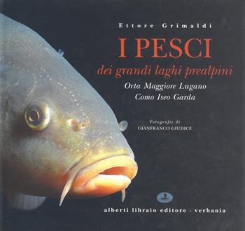I pesci dei laghi prealpini: Lago Maggiore, Orta, Lugano, Como, Iseo, Garda - Ettore Grimaldi, Gianfranco Giudice - Libro Alberti 2001, Verbano illustrato | Libraccio.it