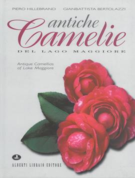 Antiche camelie del Lago Maggiore-Antique camellias of lake Maggiore - Piero Hillebrand, Gianbattista Bertolazzi - Libro Alberti 2003, Verbano illustrato | Libraccio.it