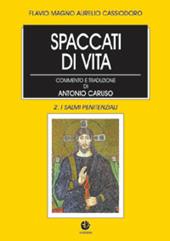 Spaccati di vita. Vol. 2: I salmi penitenziali.