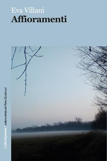 Affioramenti - Eva Villani - Libro Robin Edizioni 2020, I libri di poesia | Libraccio.it
