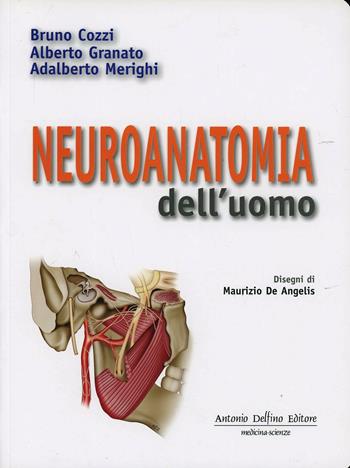 Neuroanatomia dell'uomo - Bruno Cozzi, Alberto Granato, Adalberto Merighi - Libro Antonio Delfino Editore 2009 | Libraccio.it