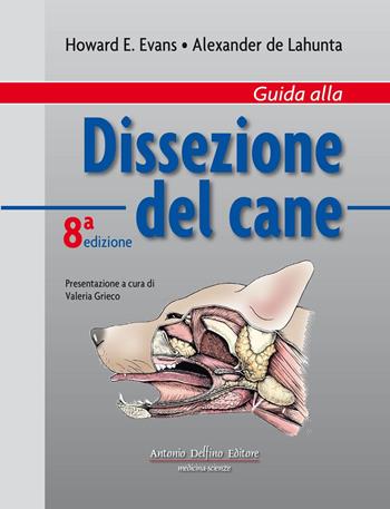 Guida alla dissezione del cane. Ediz. a colori - Howard E. Evans, Alexander De Lahunta - Libro Antonio Delfino Editore 2017 | Libraccio.it
