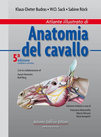Atlante illustrato di anatomia del cavallo. Ediz. illustrata - Dieter Budras, W. O. Sack, Sabine Rock - Libro Antonio Delfino Editore 2017 | Libraccio.it