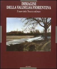 Immagini della Valdelsa fiorentina. Il cuore della Toscana collinare. Ediz. illustrata  - Libro Alinari IDEA 2008, Toscana | Libraccio.it