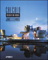 Calcolo. Funzioni di una variabile - James Stewart - Libro Apogeo 2008, Idee & strumenti | Libraccio.it