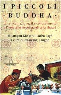 I piccoli Buddha. Il riconoscimento dei maestri reincarnati del Tibet e dell'Himalaya - Tayé Jamgon Kongtrul Lodrö - Libro Neri Pozza 2000 | Libraccio.it