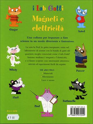 Magneti e elettricità - Russell Stannard - Libro Editoriale Scienza 2008, I Labgatti | Libraccio.it