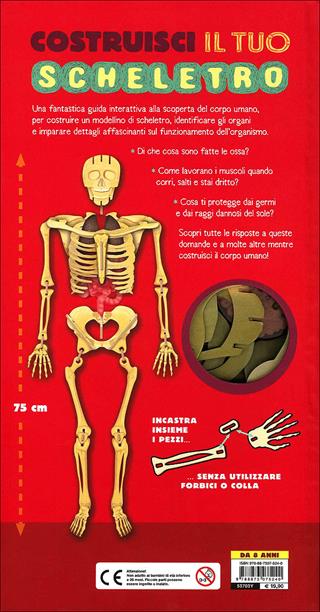 Costruisci il tuo scheletro e scopri come funziona il corpo umano. Ediz. illustrata. Con modellino - Richard Walker - Libro Editoriale Scienza 2013, Pop-up & co. | Libraccio.it