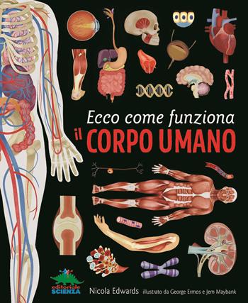 Ecco come funziona il corpo umano - Nicola Edwards - Libro Editoriale Scienza 2018, A tutta scienza | Libraccio.it