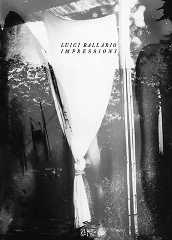 Luigi Ballario. Impressioni - Federica Boragina, Riccardo Crespi - Libro Gli Ori 2016 | Libraccio.it