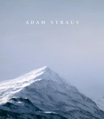 Adam Strauss. Ediz. illustrata - Amei Wallach, Adam Straus - Libro Gli Ori 2016 | Libraccio.it