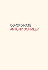 Antony Gormley. Co-ordinate. Ediz. italiana e inglese