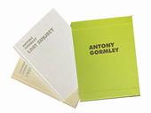 Antony Gormley. Lost subject free object