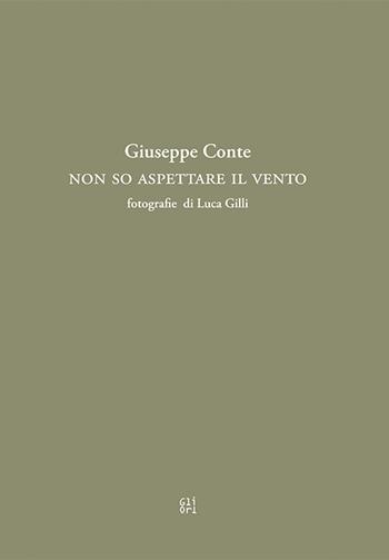 Non so aspettare il vento - Giuseppe Conte - Libro Gli Ori 2024 | Libraccio.it